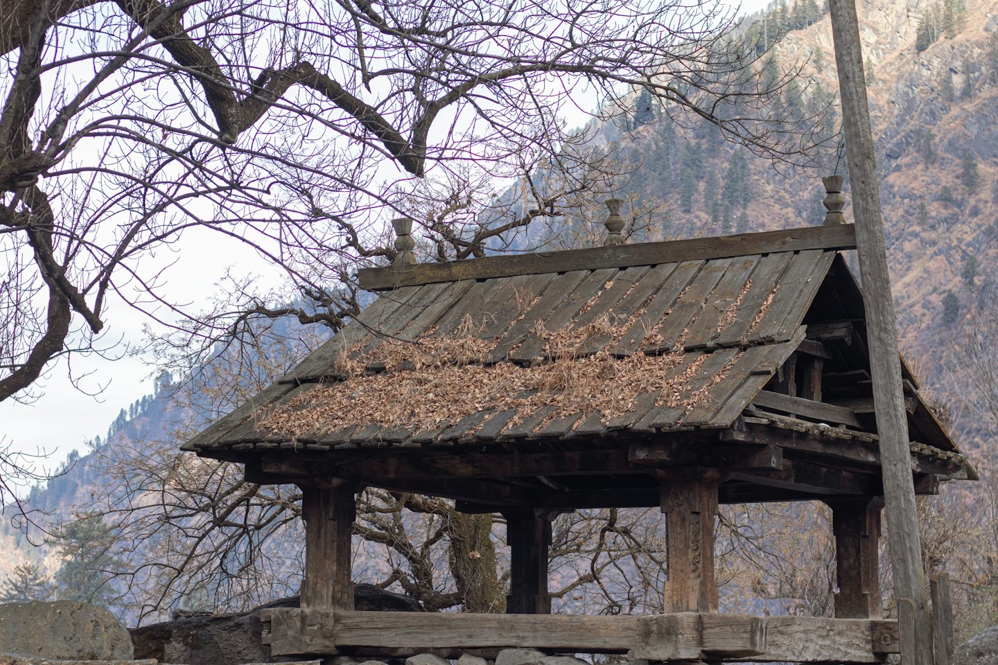 Rustikaler Holzpavillon, umgeben von kahlen Ästen an einem Berghang.