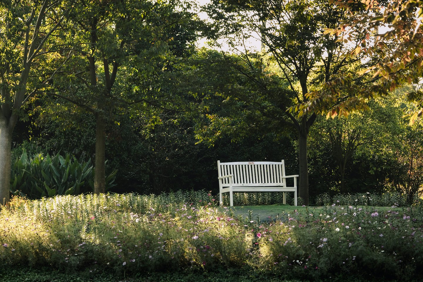Eine hölzerne Parkbank steht in einem üppigen grünen Garten.